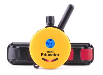 ET-302 Mini Educator Two Dog